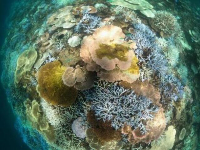 宮古島のオプショナルツアー完全ガイド！おすすめ＆後悔しない選び方を徹底解説