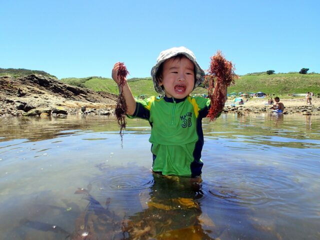 子連れ旅行でも安心！宮古島のおすすめアクティビティと海以外の楽しみ方