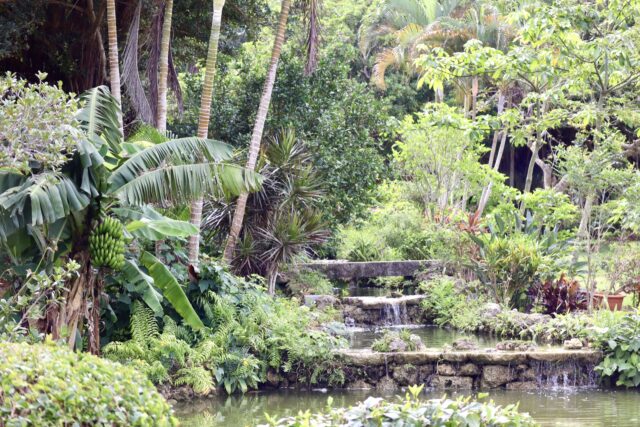 宮古島市熱帯植物園
