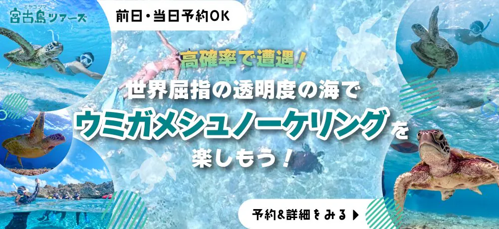 ウミガメシュノーケリングKV