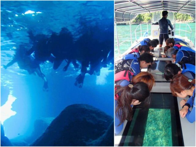 青の洞窟 グラスボート シュノーケリング